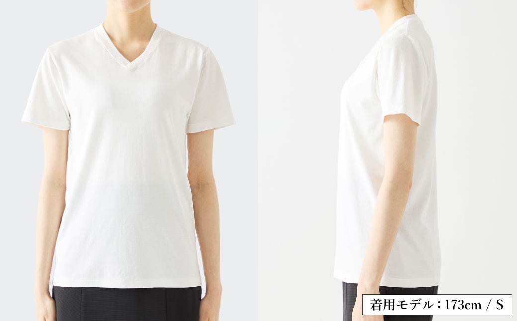 【選べるカラー／サイズ】EIJI T－SHIRT Vネック SM17