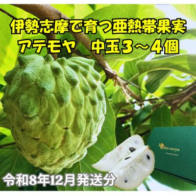 ふるさと納税 南伊勢町 伊勢志摩産 アテモヤ 中玉 3〜4個入 約1.2kg 令和8年12月発送 南伊勢ブランド認定フルーツ