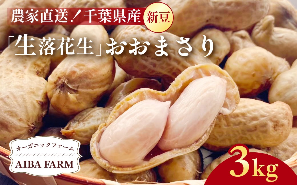 
            【先行予約・新豆 】千葉県産 大粒 農家直送！「生落花生」おおまさり３kg　【 ふるさと納税 人気 おすすめ ランキング 皮付き 殻付き ピーナッツ ピーナツ 落花生 オーガニック 千葉県 富里市 送料無料 】TML010
          