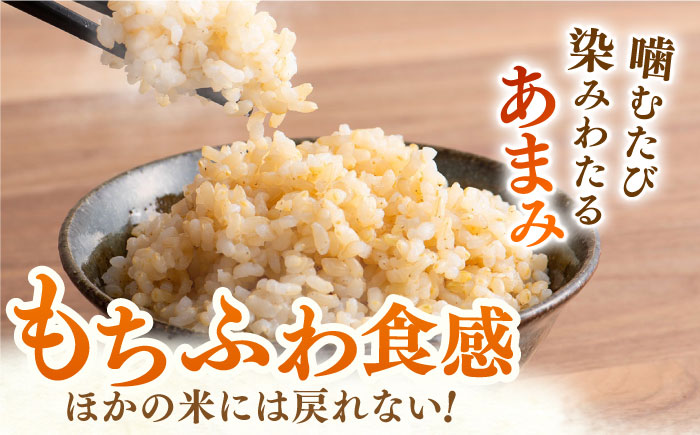 令和8年産 新米 ももちゃんちのお米 夢しずく 玄米 10kg【ももさき農産】 [HCG020]