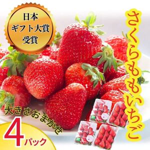 佐那河内村限定 さくらももいちご 4パック入り 《1月上旬-3月末頃に出荷(土日祝除く)》【配送不可地域あり】※離島