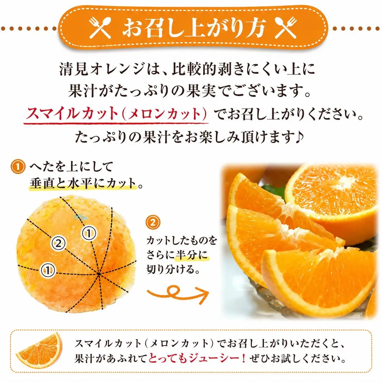 清見オレンジ約5kg/果実サイズおまかせ ※2027年2月中旬～2027年4月下旬頃に発送予定　紀伊国屋文左衛門本舗【ntbt400B】