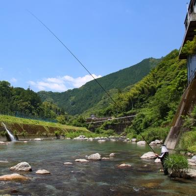 ふるさと納税 いの町 フレッシュマートキシモトさんの天然鮎(冷凍)1kg |  | 01