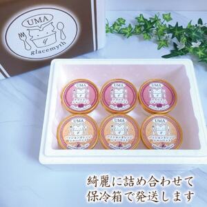 アイス職人が作るこだわりシャーベット 2種6個セット　各90ml入り 卵不使用 乳不使用 小麦不使用【配送不可地域：離島】【1369014】