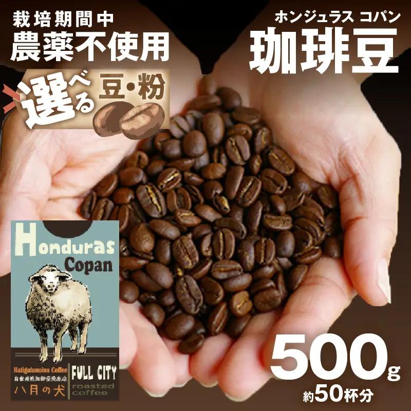 【コーヒー豆】 ホンジュラスコパン 500g コーヒー豆