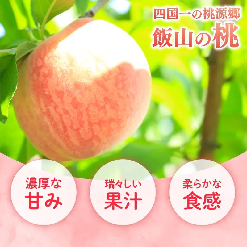桃園からの定期便 全4回 各約2kg (7～9玉) はなよめ 日川白凰 あかつき なつおとめ