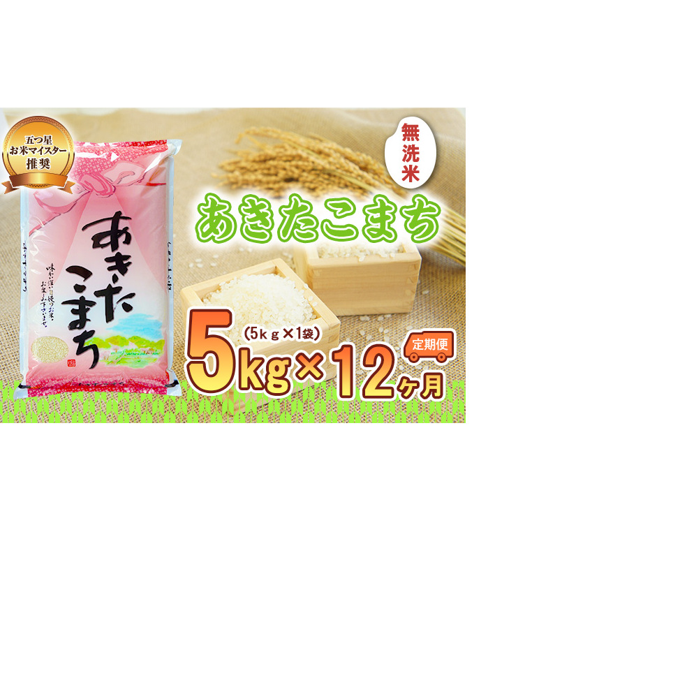 米 定期便 12ヶ月 あきたこまち 無洗米 5kg お米 精米 白米 こめ コメ おこめ ごはん お米マイスター 推奨 ブランド米 常温 国産 岩手県 岩手 盛岡市産 定期 お楽しみ 12回
