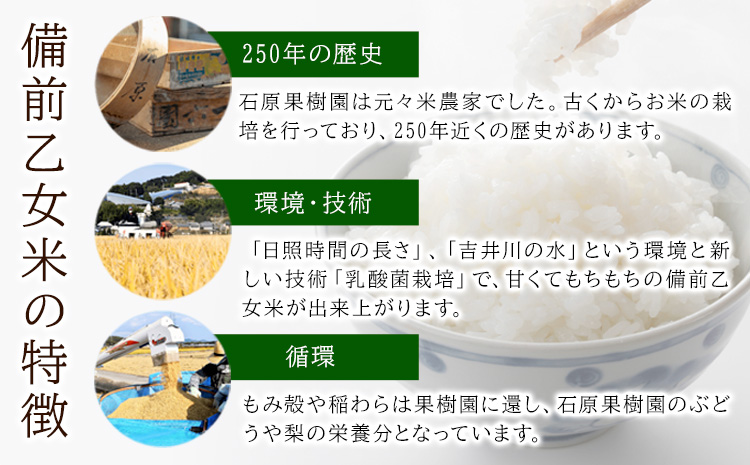 米 こめ コメ 備前乙女米 玄米 5kg 石原果樹園 《2024年11月上旬から出荷開始》岡山県 浅口市 ご飯 お米 国産 岡山県産 ---124_1053_90d_24_13000_5gen---