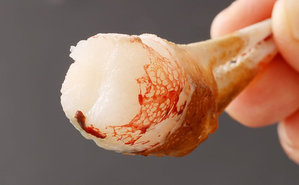 生ずわい蟹 カニ爪肉 1.0kg （8 〜 25本 ×2袋） 【9】 かに カニ 本ずわい蟹 爪肉 爪 ポーション むき身 しゃぶしゃぶ用 鍋 海鮮 BBQ バーベキュー 簡単調理 冷凍