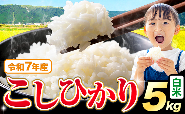 令和7年産 白米 こしひかり 5kg《7-14日以内に出荷予定(土日祝除く)》熊本県産 ふるさと納税 白米 精米 ひの 米 こめ ふるさとのうぜい コシヒカリ コメ お米 おこめ---reihoku_loc_437_5kg---