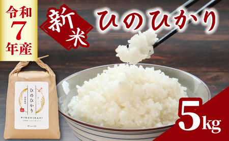ヒノヒカリ 米 5kg  【ひのひかり】