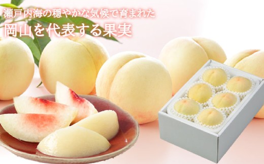 岡山白桃 ロイヤル 4～8玉 約1.2kg 岡山県産
