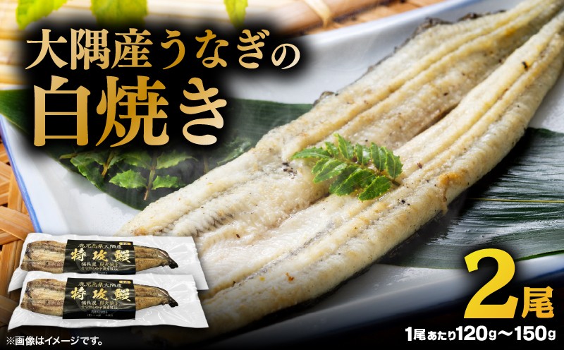 
                  大隅産うなぎの白焼き 2尾　KN174-002-02
                