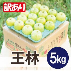 【25年12月より順次発送】平均糖度13度以上! 王林 約5kg 訳あり【配送不可地域：離島・沖縄県】【1667926】