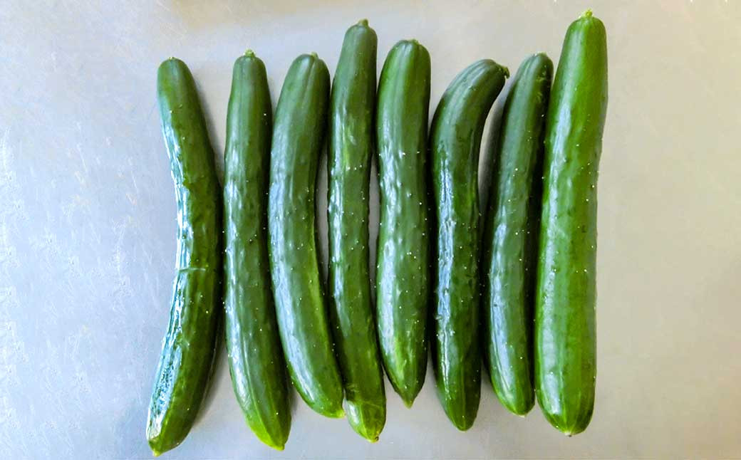 【訳あり】夏野菜セット3品【ミニトマト・なす・きゅうり】