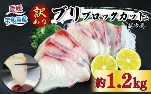 鰤 訳あり 超冷薫 加工 ブリ ブロック カット 1.2kg オンスイ 鰤 ぶり buri 新鮮 刺身 お刺身 しゃぶしゃぶ 鍋 ぶりしゃぶ 漬け丼 タタキ アレンジ 魚介 人気 海鮮 海産物 急速冷凍 特許技術 養殖 真空 パック 人気返礼品 加工品 国産 愛媛 宇和島 D020-159010