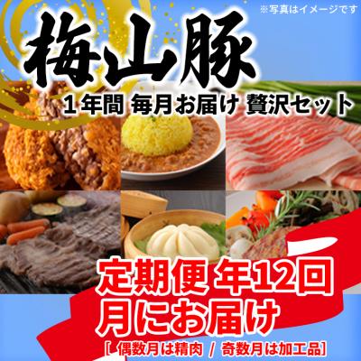 ふるさと納税 境町 【12回毎月定期便】塚原牧場 「梅山豚」の贅沢定期便 メイシャントン 境町