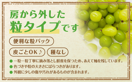 先行予約 ぶどう 2～4種 食べ比べパック 約300g×4 訳あり粒タイプ 福島県 田村市