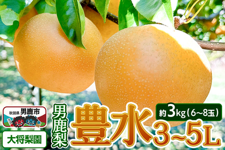 【先行受付】2026年9月中旬～下旬発送 男鹿梨「大将梨園」豊水 約3kg 6～8玉 3～5L 梨 秋田県 男鹿市