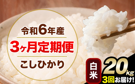 【3ヶ月定期便】令和6年産 定期便 こしひかり 白米 定期便 20kg 精米 熊本県産(南阿蘇村産含む)  南阿蘇村《申込み翌月から発送》｜人気米 熊本県産米  生活応援米