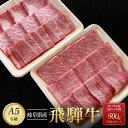 【ふるさと納税】飛騨牛A5 焼肉用 600g（300g×2パック）ロース 又は 肩ロース 肉 ｜国産 肉 牛肉 焼肉 和牛 黒毛和牛 グルメ A5等級 おすすめ AD116【飛騨牛 和牛ブランド 飛騨牛 黒毛和牛 飛騨牛 岐阜 大野町 飛騨牛】