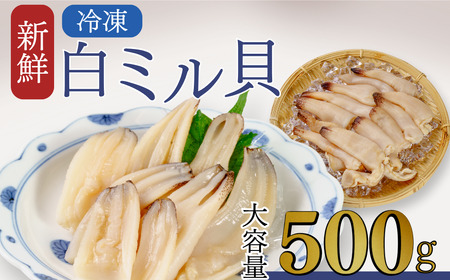 宇部産 白ミル貝 約500g 白ミル貝