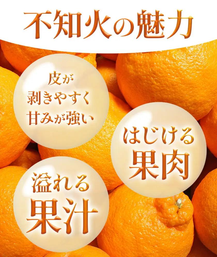 不知火 計10kg しらぬい 日本フルーツ株式会社 デコポン