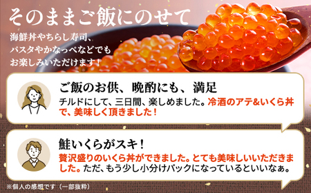 【令和7年新物】北海道産塩いくら　250g×1パック【配送不可地域：離島】【1709818】