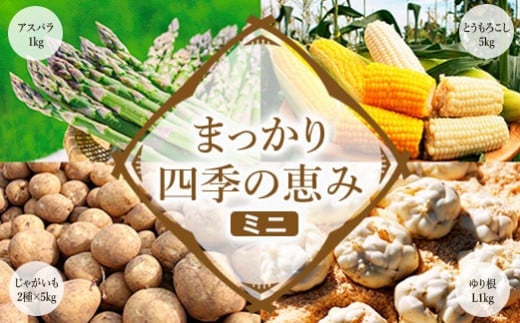 【2026年産】まっかり四季の恵み（ミニ）(アスパラ1kg、とうもろこし5kg、じゃがいも2種×5kg、ゆり根L1kg)