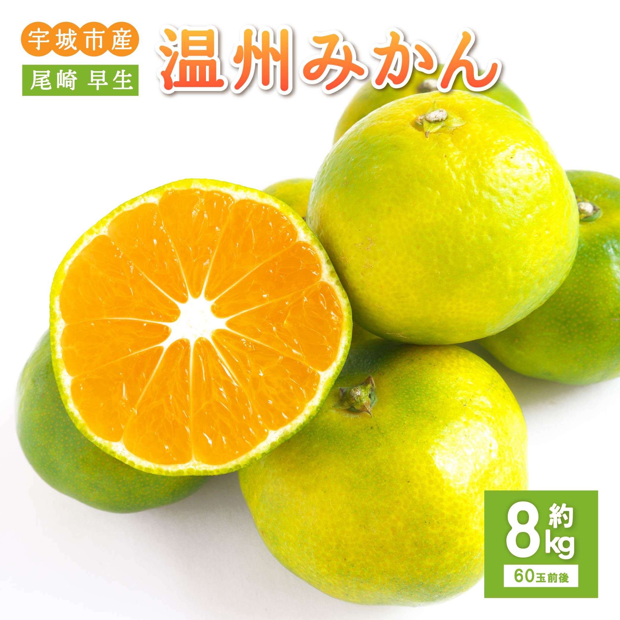 【ふるさと納税】 先行予約 みかん 尾崎 早生 温州みかん 約8kg (60玉前後) 【2025年11月上旬から12月上旬頃発送予定】 早生みかん みかん ミカン 蜜柑 フルーツ 果物 くだもの 熊本県産 九州産 国産 宇城市産 ひでみかん