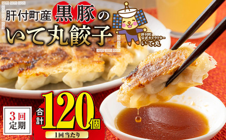 【C43018】＜定期便・全3回＞ 鹿児島県 肝付町産 黒豚 餃子 ギョーザ (1回120個・12個入 10パック) ぎょうざ たれ付き パリパリ もちもち ジューシー おかず 弁当 冷凍 冷凍食品 中華 豚肉 国産【財宝】