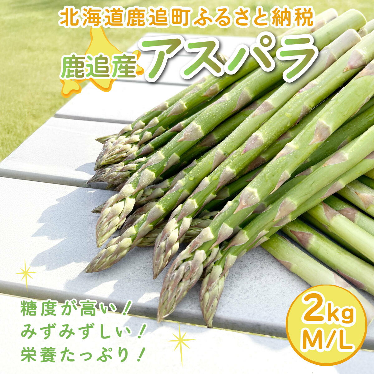 【ふるさと納税】【5月中旬以降発送】鹿追産アスパラ（2kg）M/L【 ふるさと納税 人気 おすすめ ランキング アスパラ アスパラガス あすぱら 野菜 旬 北海道産 北海道 鹿追町 送料無料 】 SKA036