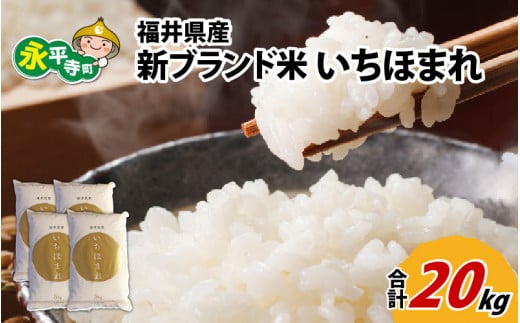 令和5年度産 福井県産新ブランド米 いちほまれ 20kg（5kg×4袋） [D-002030]