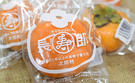 【高級贈答用】長生き次郎柿「長寿郎（ちょうじゅろう）」4Lサイズ 1.8kg 6玉入り 
柿 かき 果物 くだもの フルーツ 旬の果物 旬のフルーツ 秋の味覚 次郎柿 ギフト 贈り物 プレゼント 個包装 デザート 静岡 静岡県 高級 浜松市【配送不可：離島】