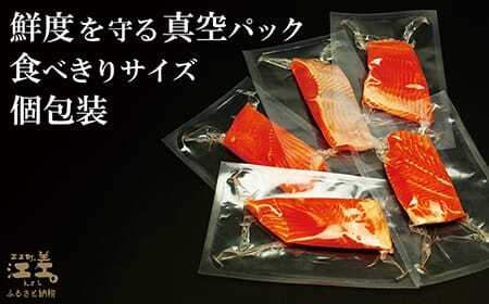 ＼配送月指定可／北海道産 サーモン お刺身用ブロック 500g（100g×5P）　日本海 かもめ島海面養殖　純国産 ブランドサーモン『江さしっ子 繁虎』　衝撃の口どけ　とろける脂　生食可　冷凍　小分け