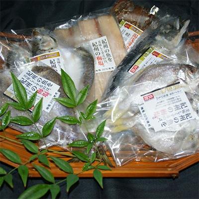 ふるさと納税 広川町 和歌山の近海でとれた新鮮魚の梅塩干物と湯浅醤油みりん干し　6品種10尾入りの詰め合わせ