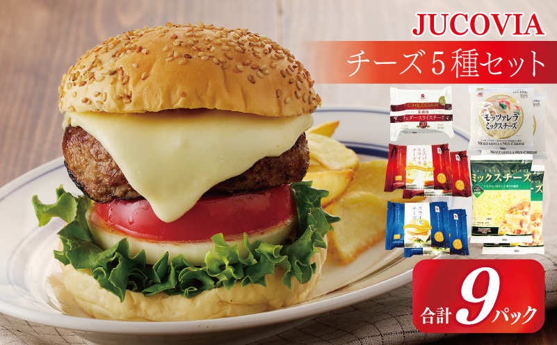 【ムラカワチーズ】JUCOVIA スライスチーズ3種・シュレッドチーズ2種セット 合計9P【食べ比べ セット 詰め合わせ 小分け 普段使い 高評価 ちーず 大阪 泉佐野 大阪府 泉佐野市】