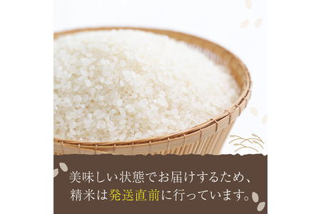 令和7年産　丹後こしひかり 10kg(5kg×2) 1等米