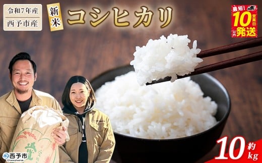 ＜新米 令和7年産 西予市産 コシヒカリ 約10kg＞ お米 米 コメ こめ 白米 精米 ご飯 穀物 こしひかり 10キロ 特産品 愛媛県産 株式会社宇都宮米穀 愛媛県 西予市【常温】『最短10営業日以内に順次出荷予定』