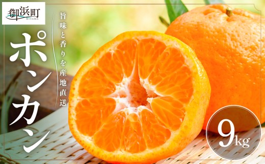 【2027年発送先行予約品】旨みと香りを産地直送！ミカファームのポンカン9キロ【期間限定 数量限定 果物 フルーツ みかん ぽんかん デザート 9kg 三重県 御浜町】