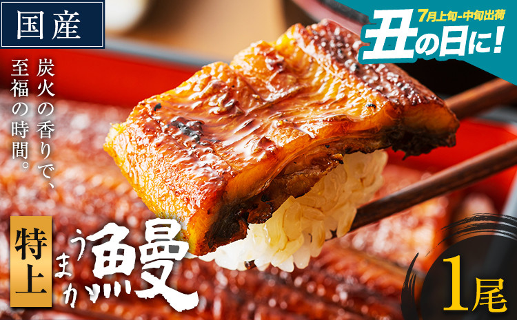 
            うなぎ 特上サイズ 1尾 国産 ランキング 獲得 鰻 真空パック おすすめ うなぎの蒲焼 《丑の日に！7月上旬〜7月中旬出荷》 有頭 ふるさとのうぜい 鶏炭火焼 特上 簡易包装 ウナギ unagi 蒲焼 秋 冬 旬 配送時期 冷凍
          