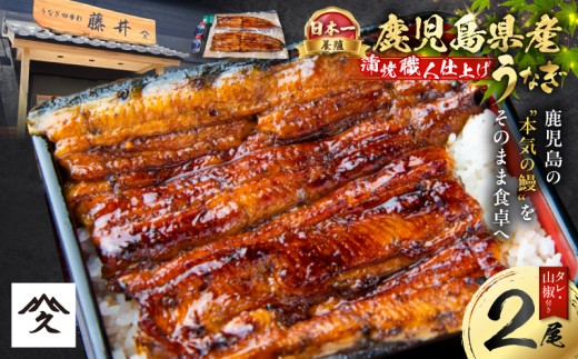 養殖日本一鹿児島県産うなぎ蒲焼職人仕上げ2尾セット　K399-001