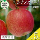 【ふるさと納税】 りんご シナノスイート 家庭用 5kg 渡辺農園 沖縄県への配送不可 令和6年度収穫分 エコファーマー認定 減農薬栽培 長野県 飯綱町 〔 信州 果物 フルーツ リンゴ 林檎 長野 12000円 予約 農家直送 〕発送時期：2024年10月中旬～2024年11月上旬{**}