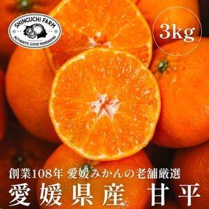 創業百八年 愛媛みかんの老舗【甘平3kg】家庭用【新口農園】【E70-11】【1451142】