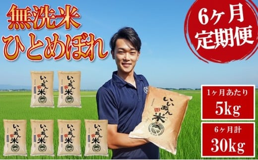 ≪6ヶ月定期便≫ 無洗米 ひとめぼれ 5kg×6ヶ月連続 計30kg 山形県庄内産 毎月中旬頃お届け 産地直送 定期便 米 お米 白米 庄内米 いいあん米 ブランド米 東北 酒田市 アグレスト JGAP認証農場　SI0063
