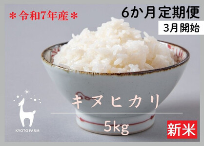 〈6か月定期便・3月開始〉【先行受付】【京都ファーム】令和7年産 京都ファームのキヌヒカリ 5kg　［ 京都 京北産 きぬひかり 人気 おすすめ 米 コメ おこめ お取り寄せ 通販 送料無料 ふるさと納税 ］