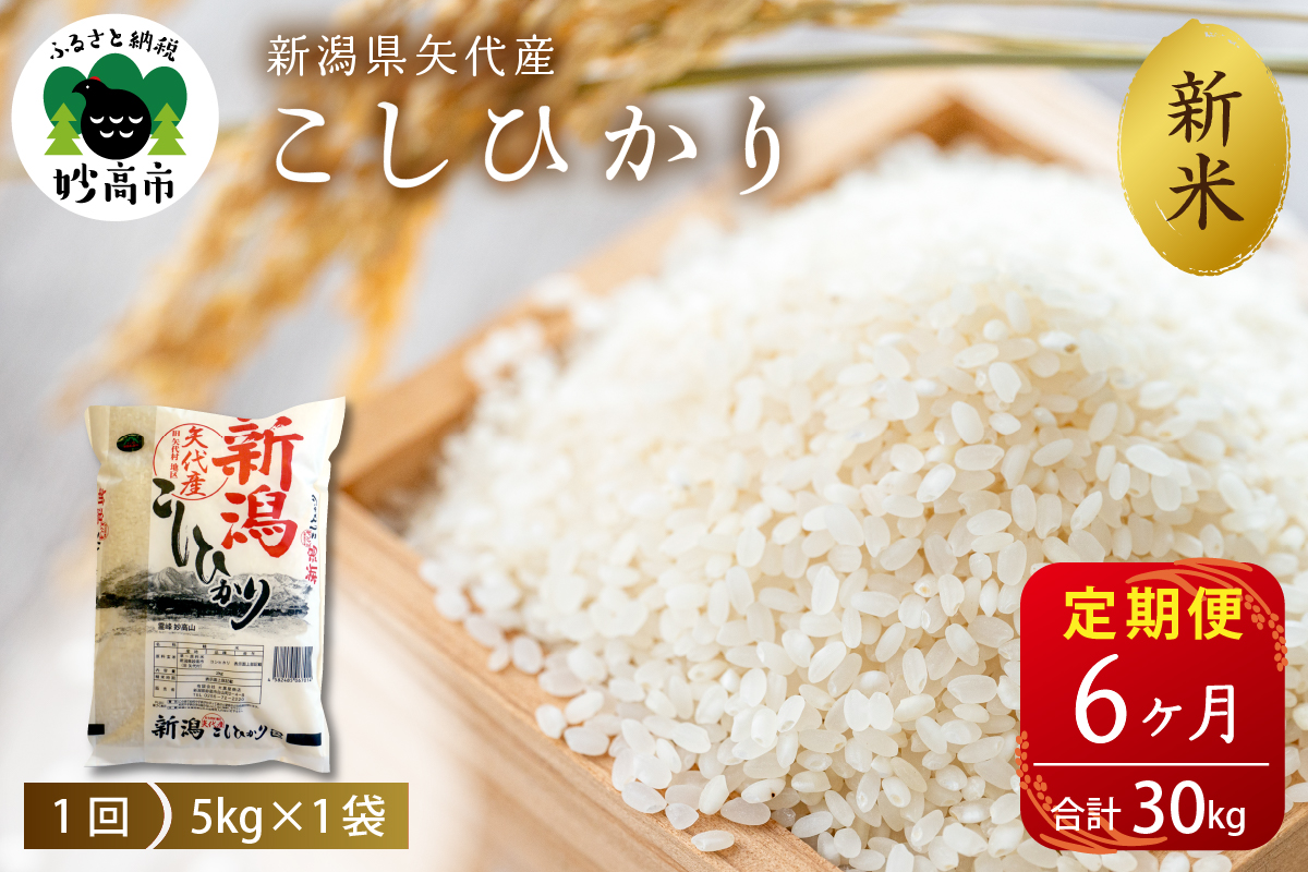 【2024年10月中旬より発送】令和6年産 新潟県矢代産コシヒカリ5kg×6回(計30kg)