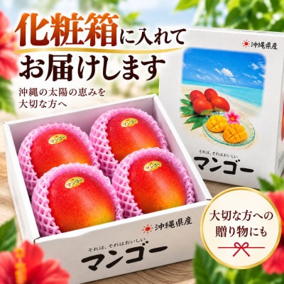 【2027年6月下旬から順次発送・贈答用】JAおきなわ厳選 完熟アップルマンゴー1.5kg【配送不可地域：離島】