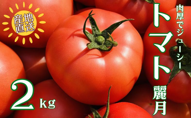 
                  【数量限定】トマト 2kg 麗月 産地直送 野菜  新鮮 サラダ 赤熟 くぼなか農園 愛媛 伊予市 | A66
                