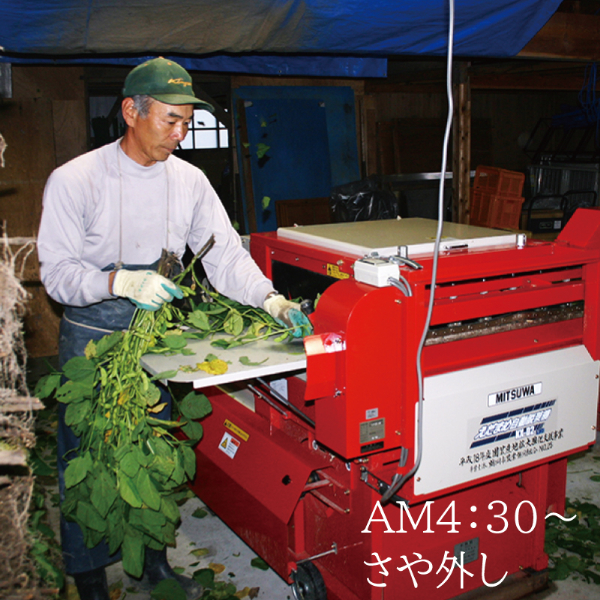 【令和7年産先行予約】鶴岡 だだちゃ豆 300g×3袋（計900g）【本豆】 2025年 枝豆 株式会社 清川屋